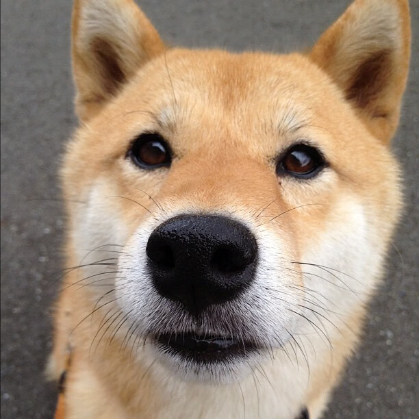 地方篮球发展研讨会召开探讨联赛结构改革与青训机制升级,篮球联赛简介