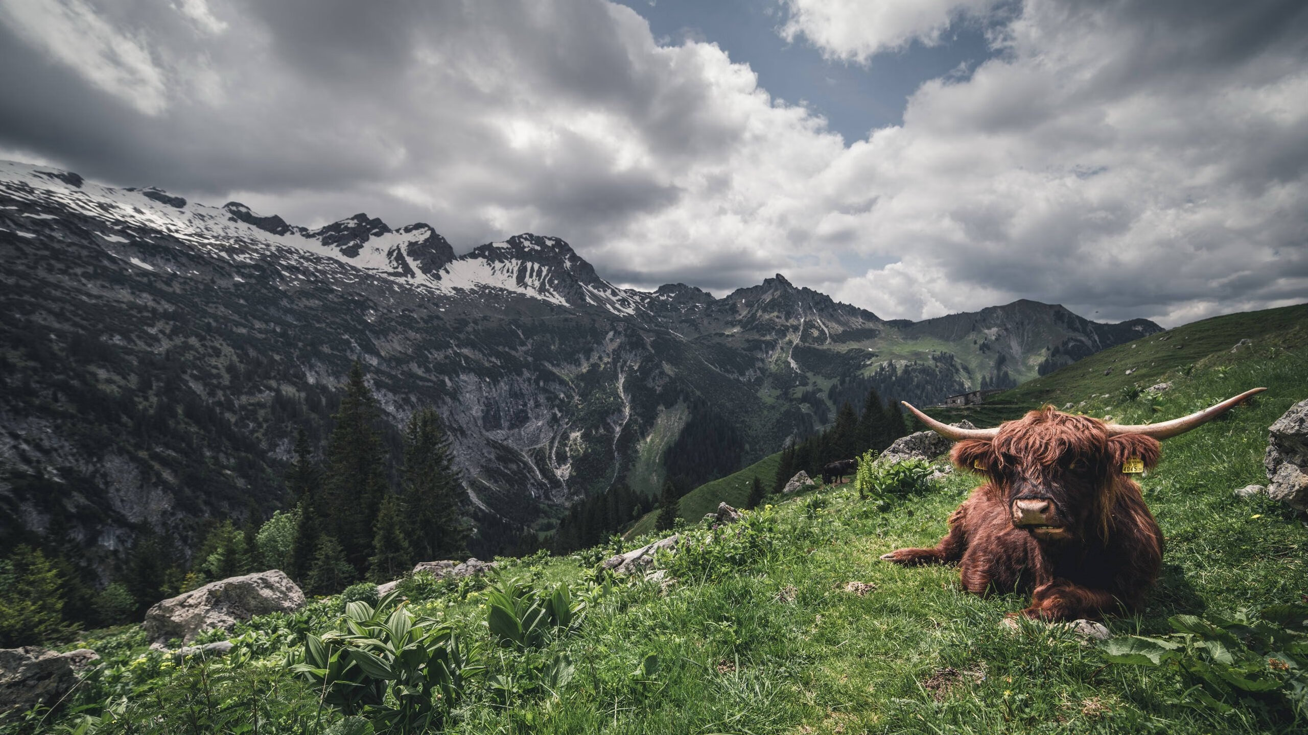 孙颖莎再夺冠军乒乓球团体赛,孙颖莎 乒乓