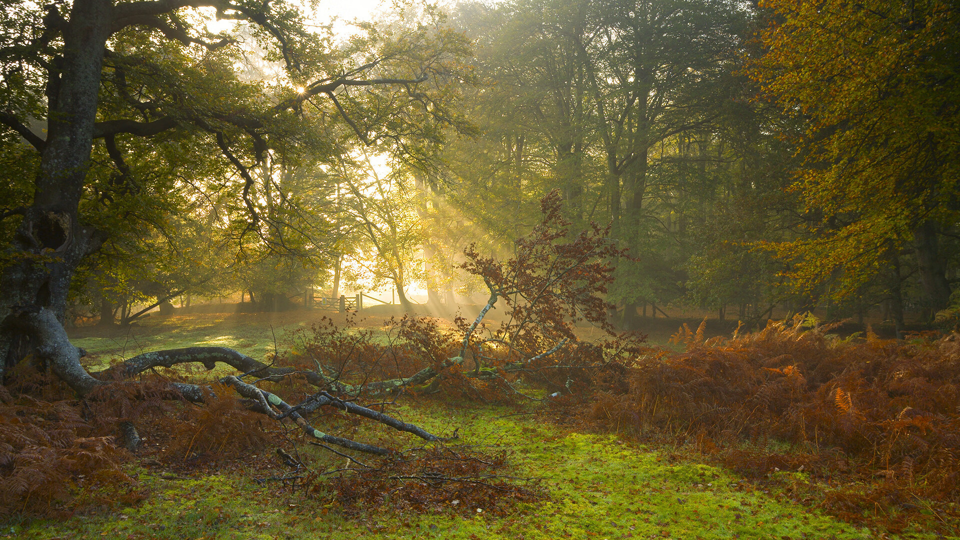 李娜三分命中率创赛季新高网球公开赛,李娜网球水平