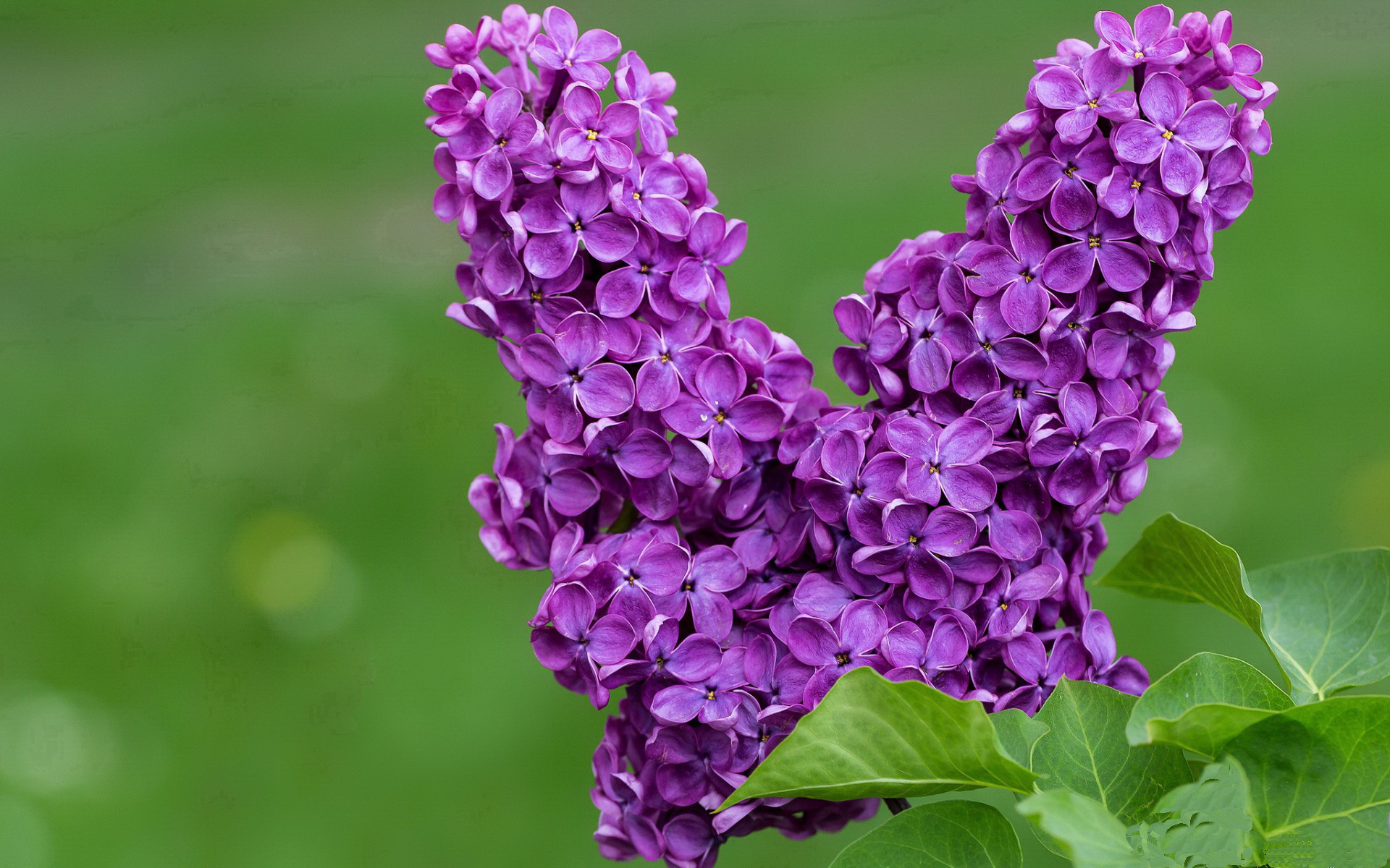 乐鱼电竞在线平台-极限攀岩运动赛事精彩回顾，极限攀岩励志图片