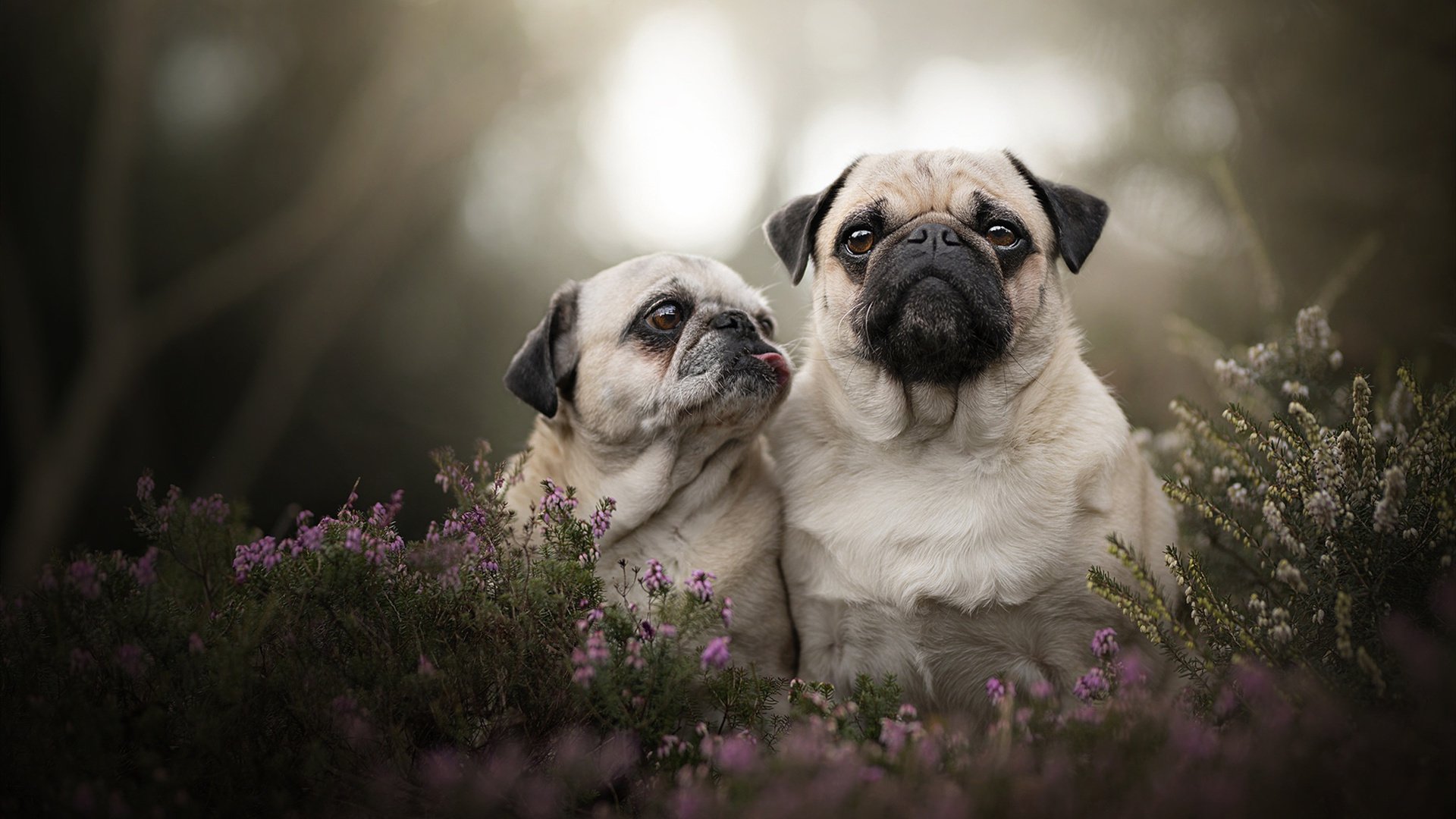 LeyuSports-米切尔长传助攻展现组织视野，米切尔回应