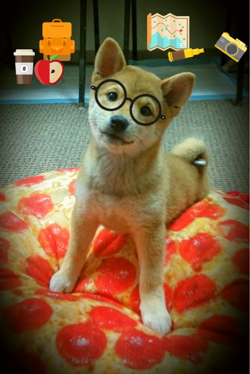 职业球员退役转型趋势明显体育产业吸纳人才扩大，职业球员退役后有工资吗